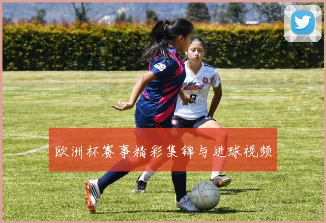 欧洲杯赛事精彩集锦与进球视频